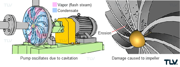 Cavitation in Condensate Pumps | TLV