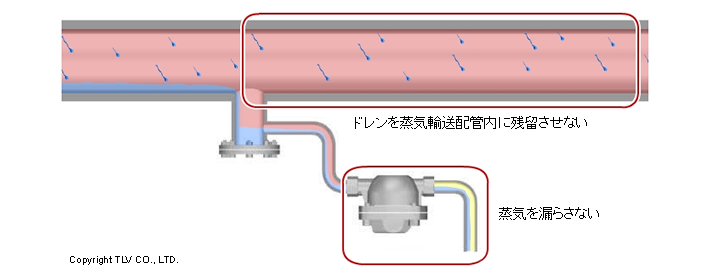 蒸気輸送配管（主管）のドレン排出のポイント
